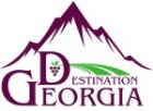 Logo DMC